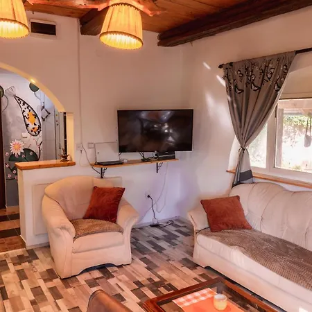 Vila Mala Holiday home *